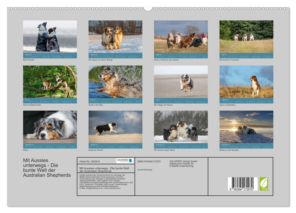 Mit Aussies unterwegs - Die bunte Welt der Australian Shepherds (CALVENDO Premium Wandkalender 2027)