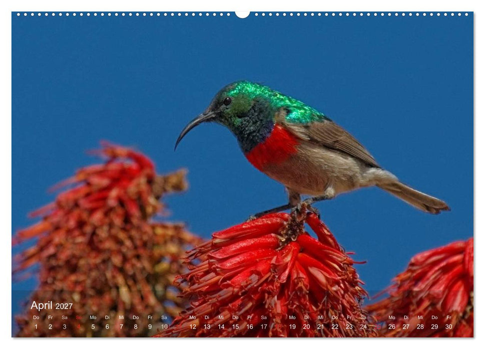 Zimbabwe (CALVENDO Wandkalender 2027)