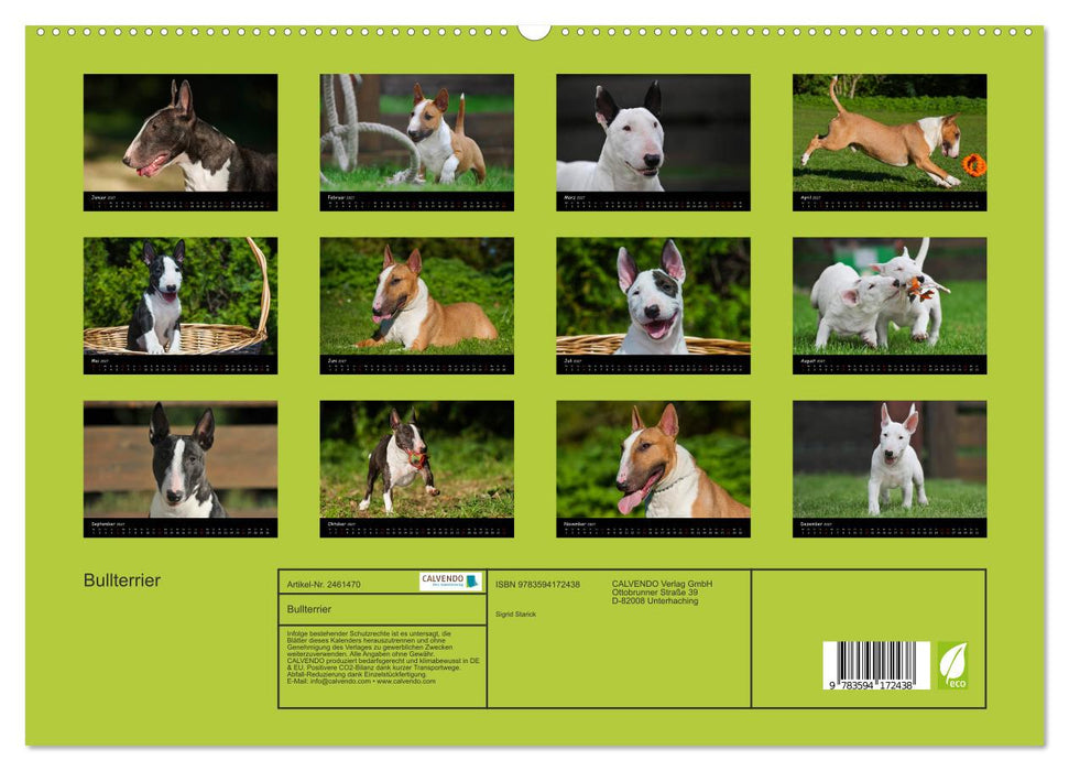 Bullterrier (CALVENDO Premium Wandkalender 2027)