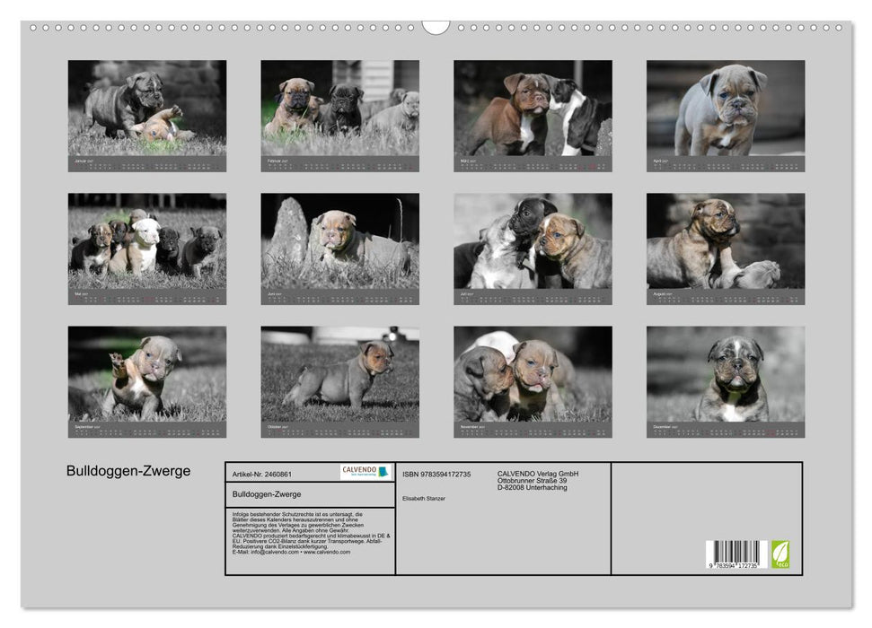 Bulldoggen-Zwerge (CALVENDO Wandkalender 2027)