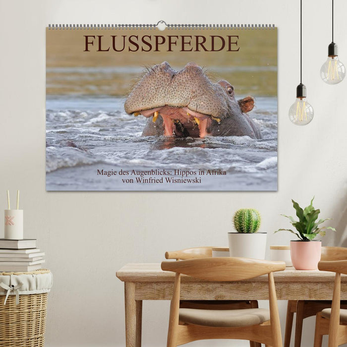 Flusspferde Magie des Augenblicks - Hippos in Afrika (CALVENDO Wandkalender 2027)
