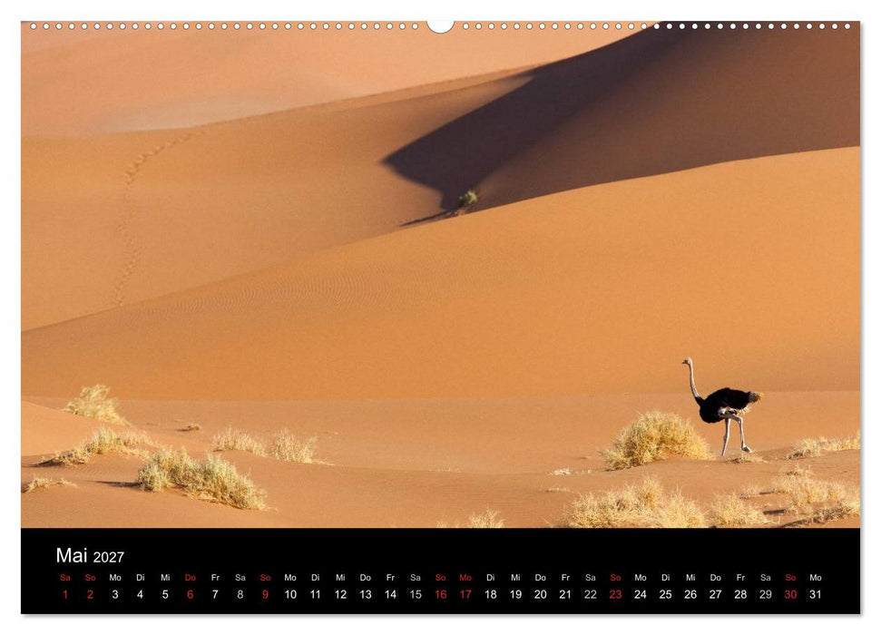 Vögel & Landschaften (CALVENDO Premium Wandkalender 2027)