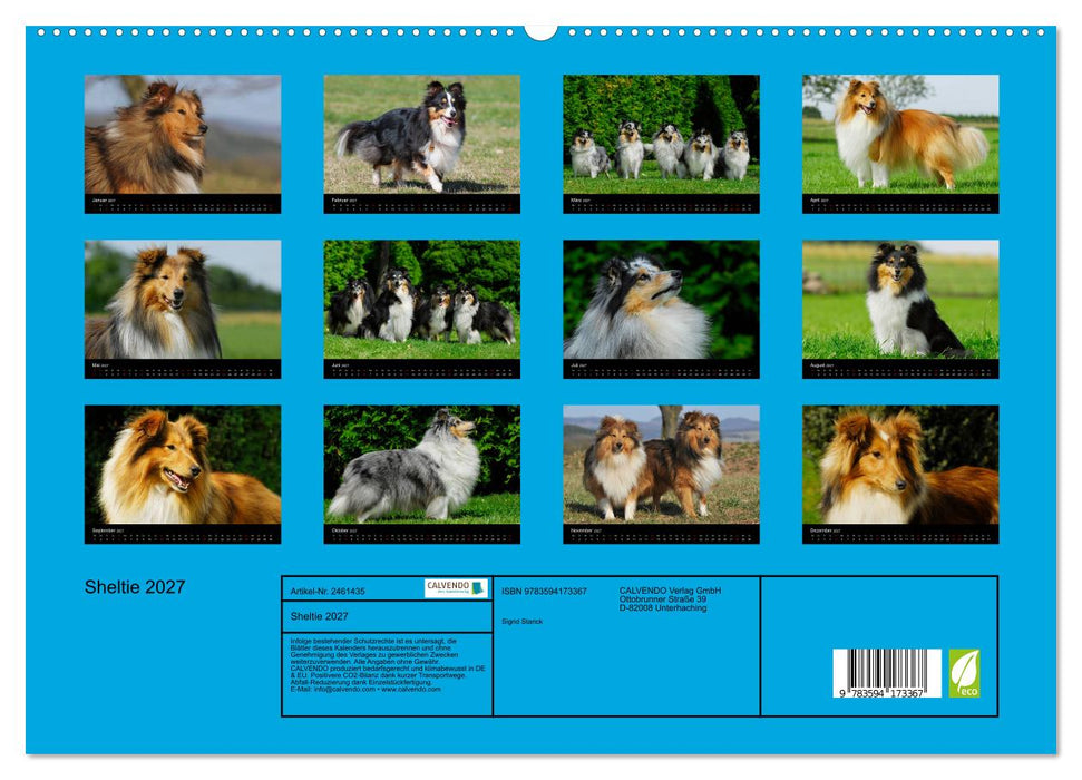 Sheltie 2027 (CALVENDO Premium Wandkalender 2027)