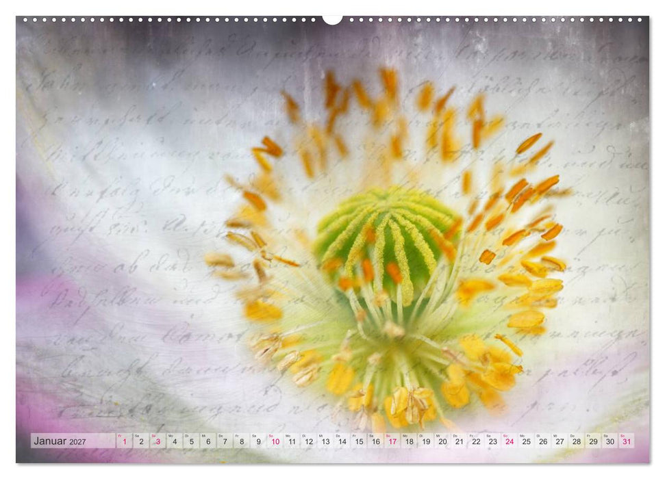 Vintage Nature - Romantische Naturaufnahmen (CALVENDO Wandkalender 2027)