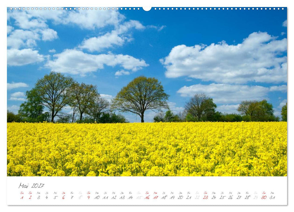 "Landarzt" - Plätze an Schlei und Ostsee (CALVENDO Wandkalender 2027)