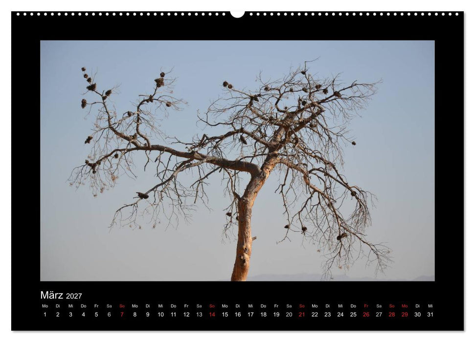 IRAN 2027 (CALVENDO Premium Wandkalender 2027)