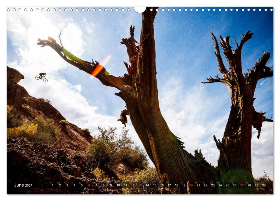 Mountain Bike 2027 by Stef. Candé / UK-Version (CALVENDO Monthly Calendar 2027)