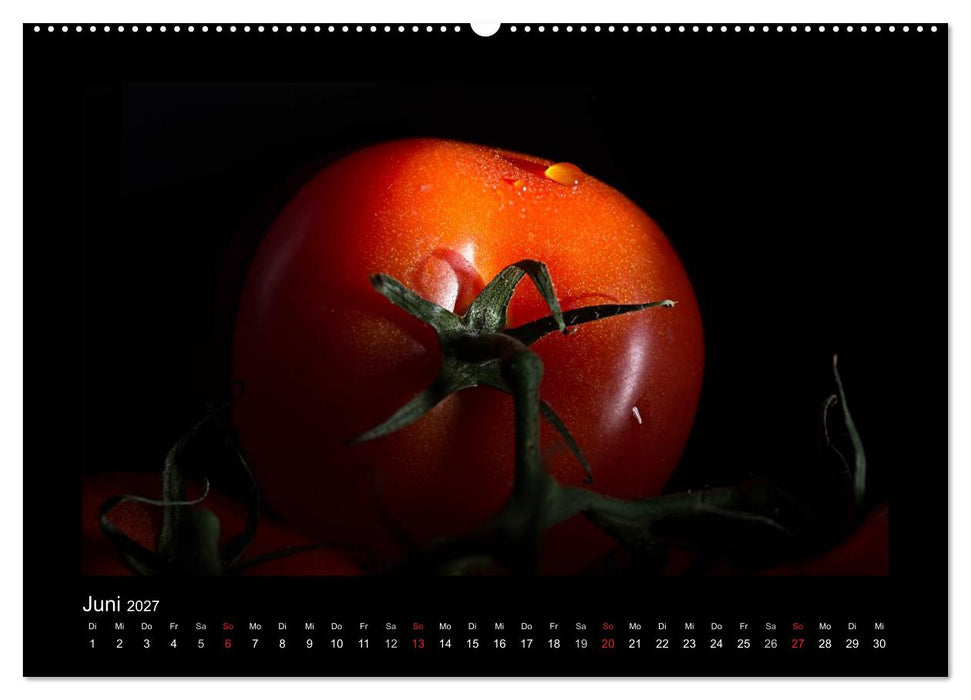 Rot (CALVENDO Wandkalender 2027)