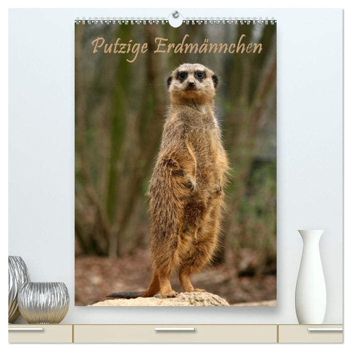 Erdmännchen / Terminplaner (CALVENDO Premium Wandkalender 2027)