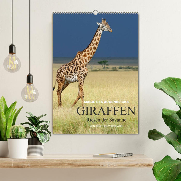 Magie des Augenblicks - Giraffen - Riesen der Savanne (CALVENDO Wandkalender 2027)
