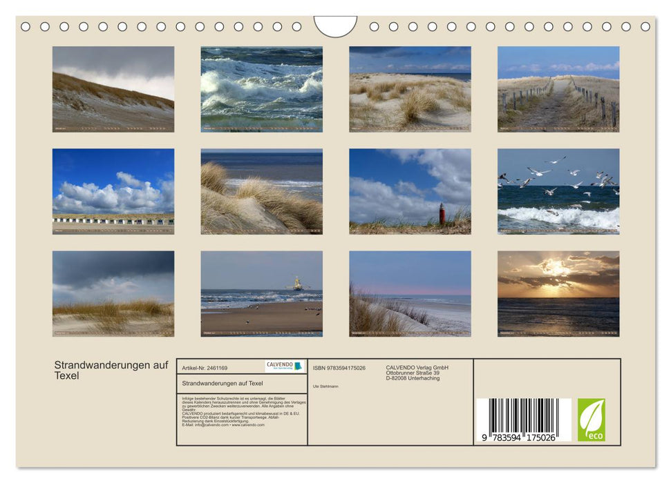 Strandwanderungen auf Texel (CALVENDO Wandkalender 2027)