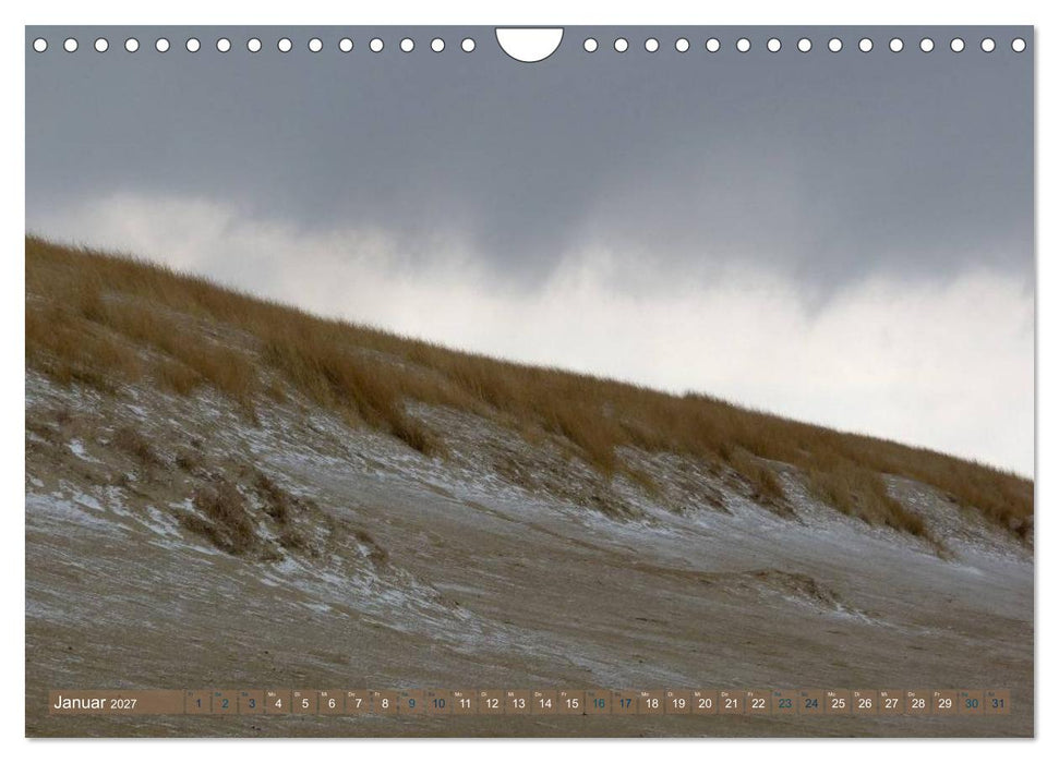 Strandwanderungen auf Texel (CALVENDO Wandkalender 2027)