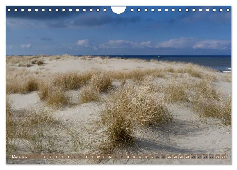 Strandwanderungen auf Texel (CALVENDO Wandkalender 2027)