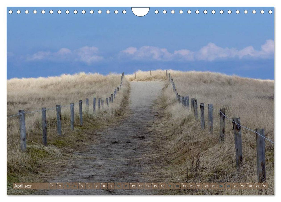 Strandwanderungen auf Texel (CALVENDO Wandkalender 2027)