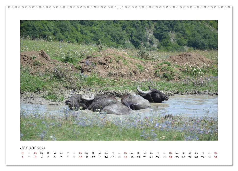 GEORGIEN 2027 (CALVENDO Premium Wandkalender 2027)