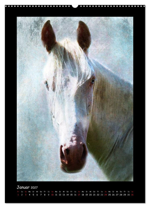 Art Horse 2027 (CALVENDO Wandkalender 2027)