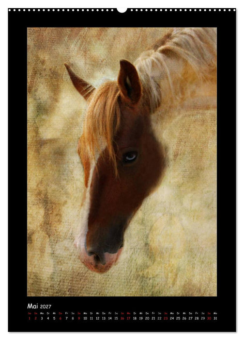 Art Horse 2027 (CALVENDO Wandkalender 2027)