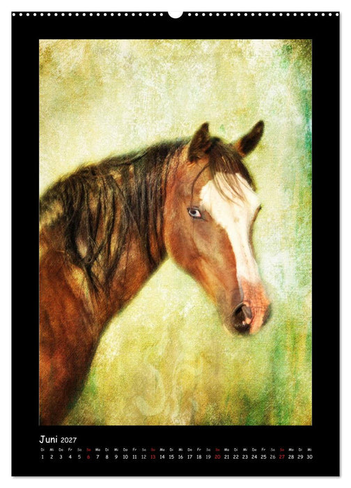 Art Horse 2027 (CALVENDO Wandkalender 2027)