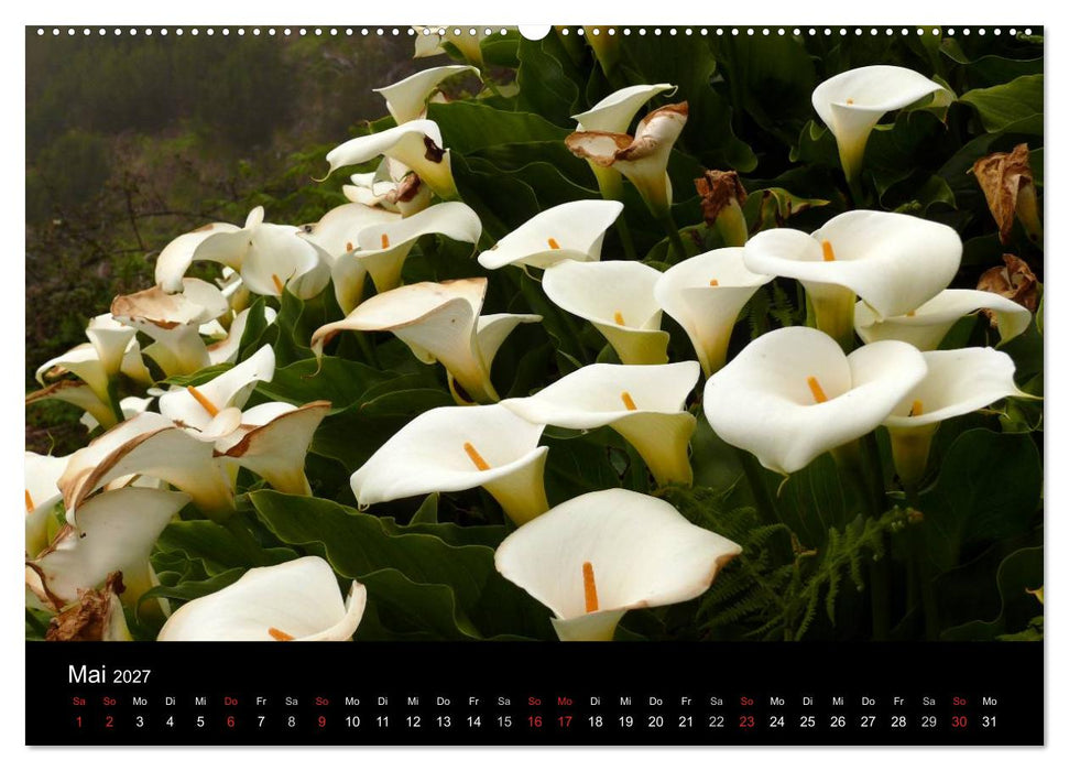 Madeira 2027 (CALVENDO Wandkalender 2027)