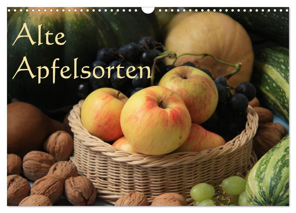 Alte Apfelsorten (CALVENDO Wandkalender 2027)