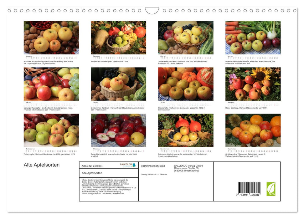 Alte Apfelsorten (CALVENDO Wandkalender 2027)
