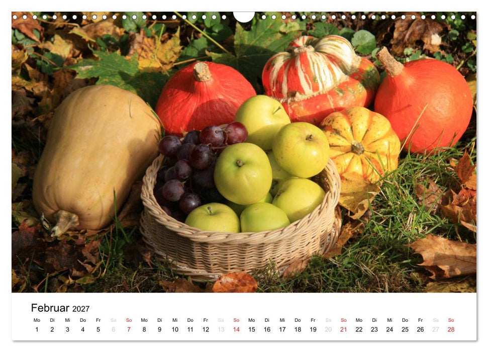 Alte Apfelsorten (CALVENDO Wandkalender 2027)