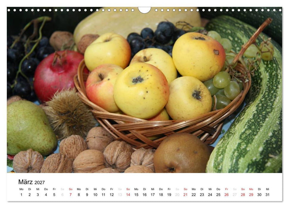 Alte Apfelsorten (CALVENDO Wandkalender 2027)