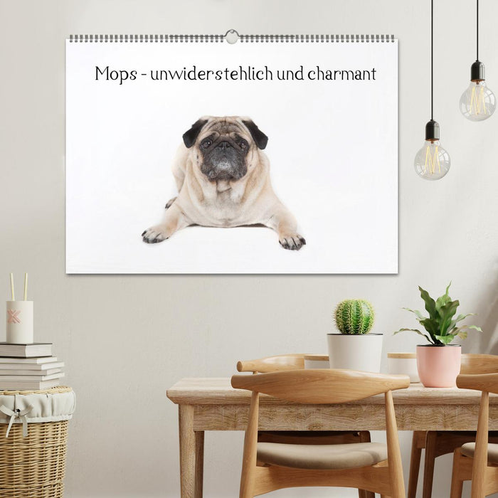 Mops - unwiderstehlich und charmant (CALVENDO Wandkalender 2027)