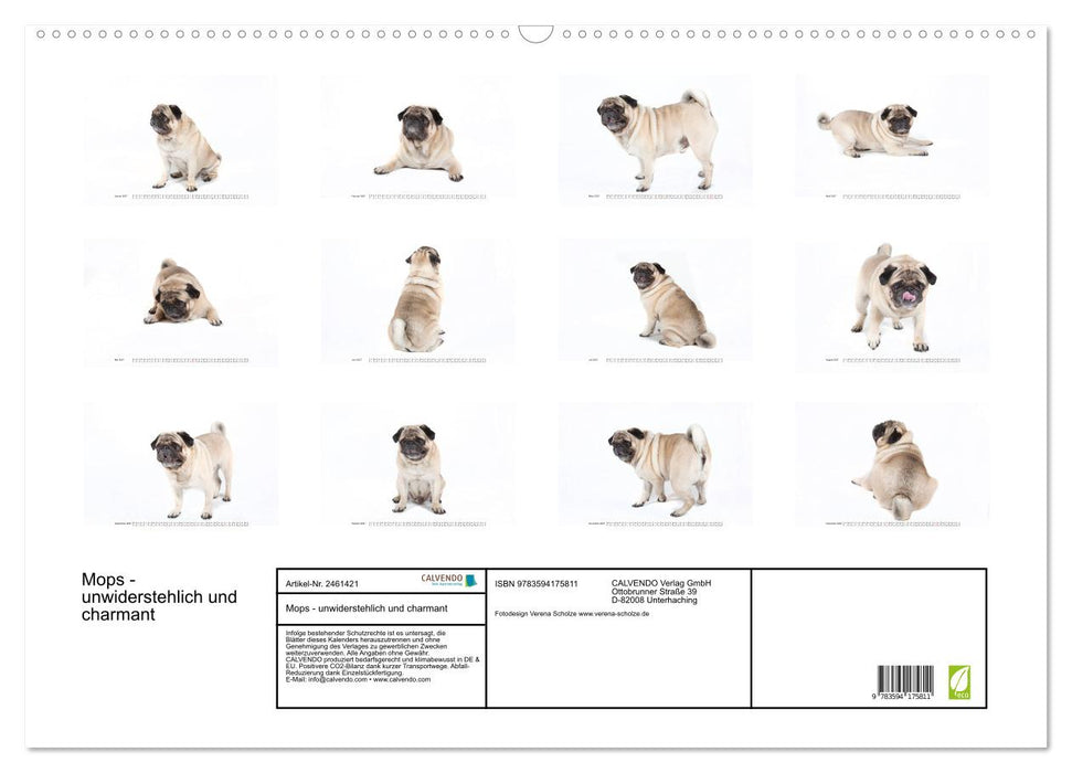 Mops - unwiderstehlich und charmant (CALVENDO Wandkalender 2027)