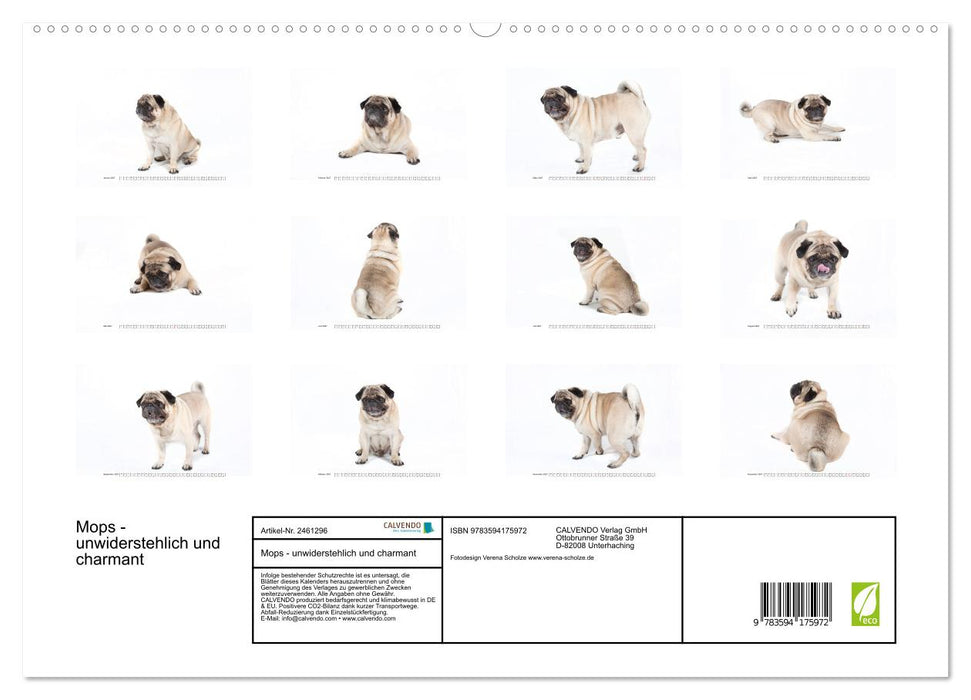 Mops - unwiderstehlich und charmant (CALVENDO Premium Wandkalender 2027)