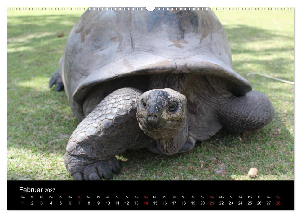 Seychellen (CALVENDO Wandkalender 2027)