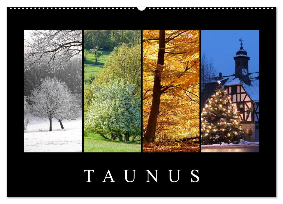 Taunus (CALVENDO Wandkalender 2027)