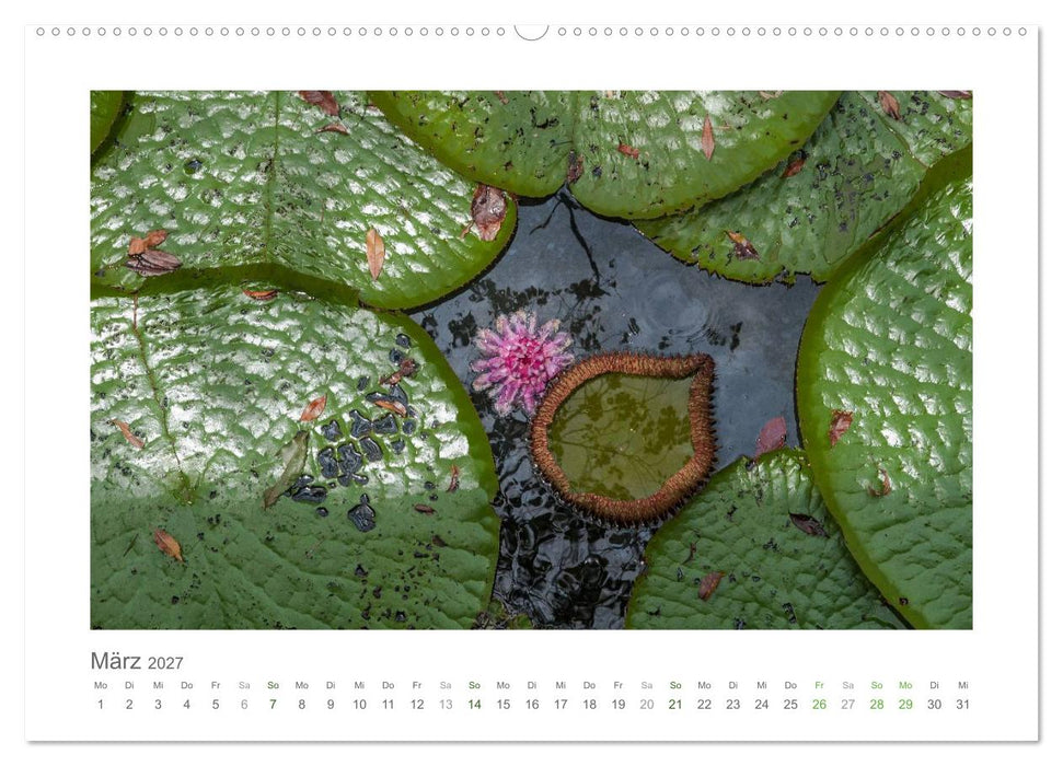 Amazonas, eine Reise entlang seiner Ufer (CALVENDO Premium Wandkalender 2027)