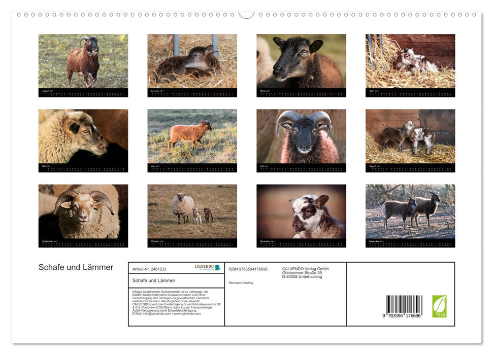 Schafe und Lämmer (CALVENDO Premium Wandkalender 2027)