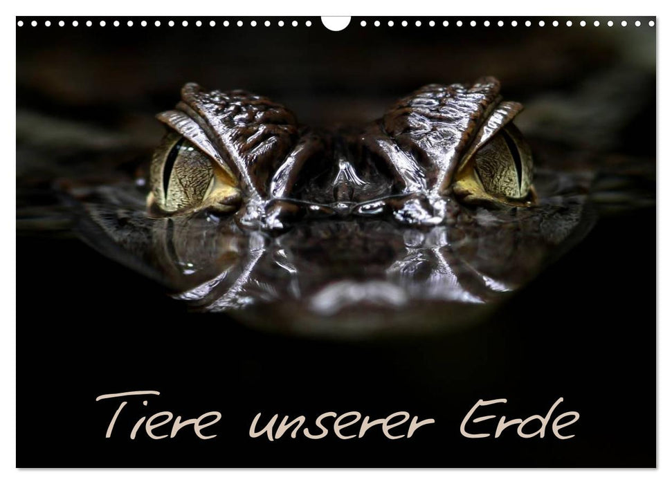 Tiere unserer Erde (CALVENDO Wandkalender 2027)