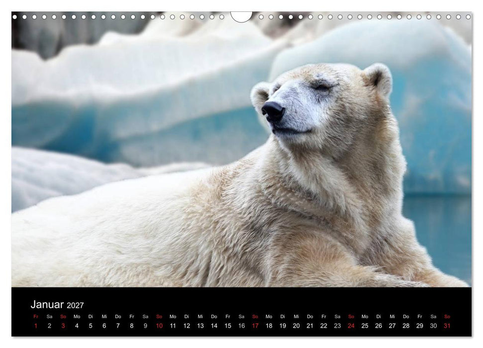 Tiere unserer Erde (CALVENDO Wandkalender 2027)