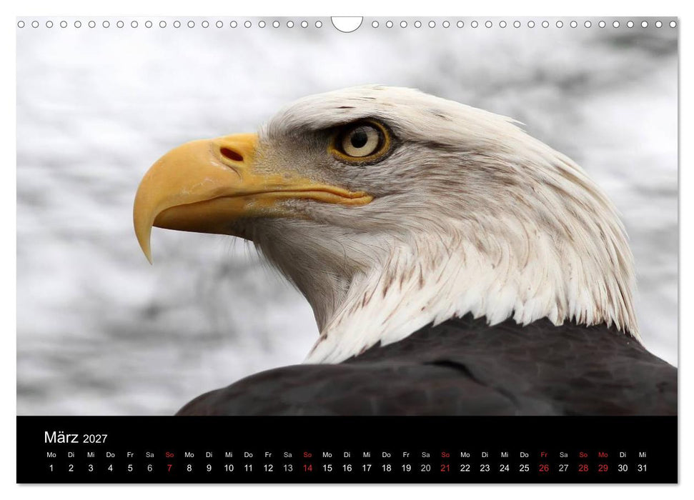 Tiere unserer Erde (CALVENDO Wandkalender 2027)