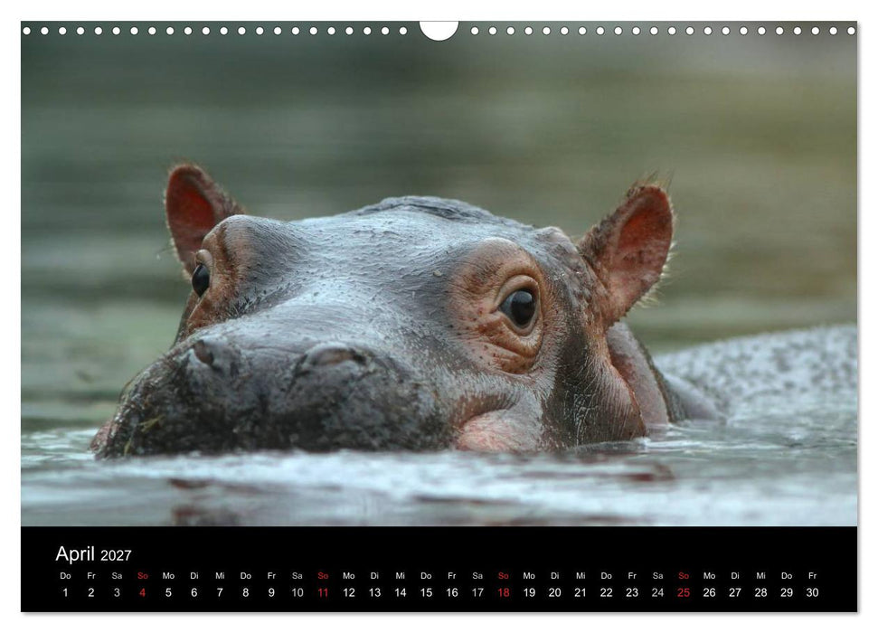 Tiere unserer Erde (CALVENDO Wandkalender 2027)