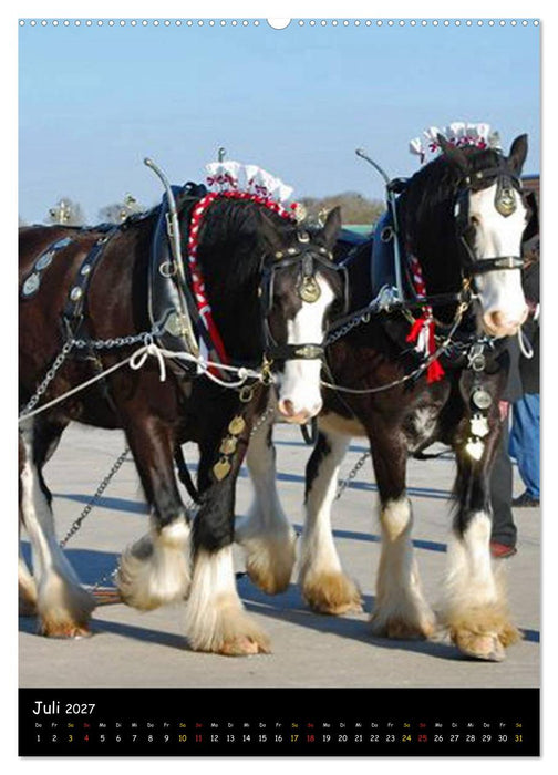 Shire Horse - Geschmückte Riesen (CALVENDO Premium Wandkalender 2027)