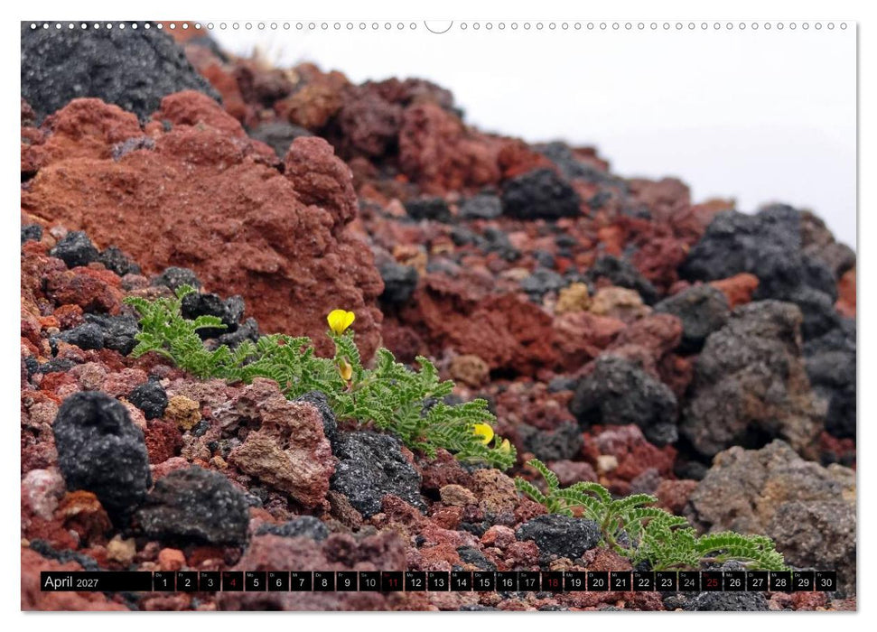 Tanz auf dem Vulkan - Osorno (Chile) (CALVENDO Premium Wandkalender 2027)