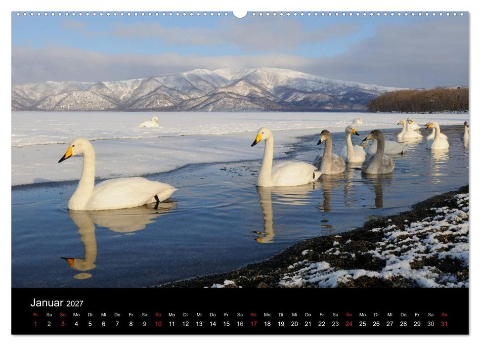Vögel & Landschaften (CALVENDO Wandkalender 2027)