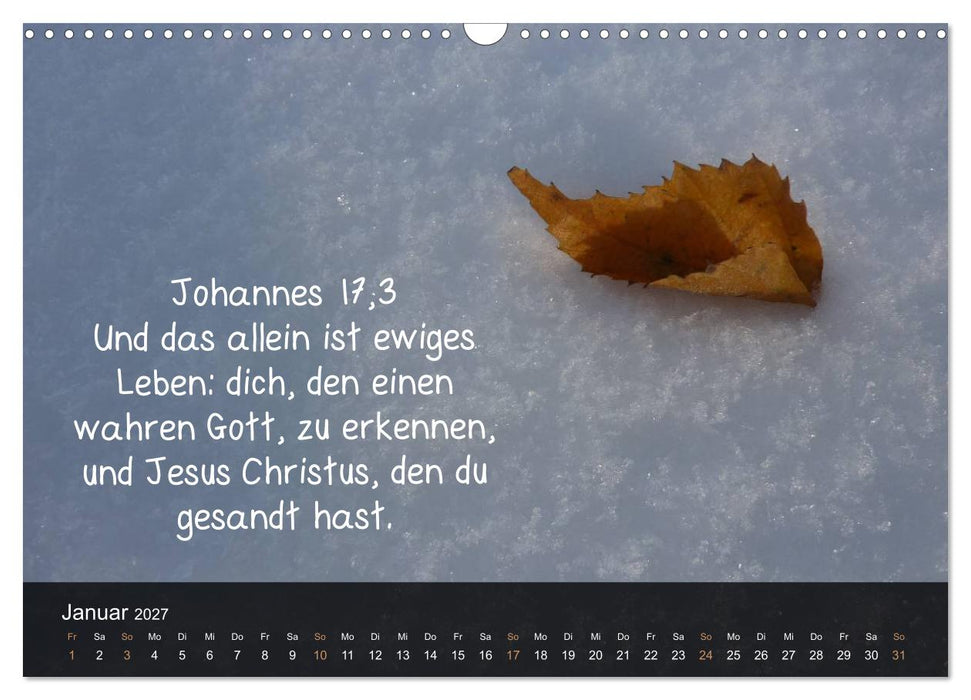 Schöpfung im Licht (CALVENDO Wandkalender 2027)