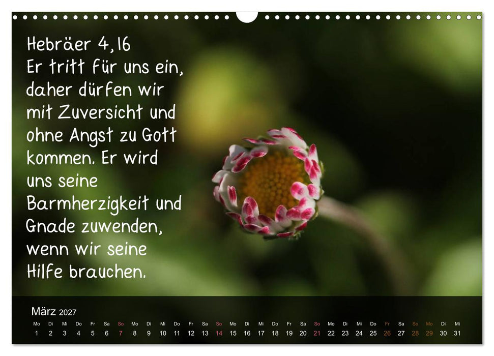 Schöpfung im Licht (CALVENDO Wandkalender 2027)