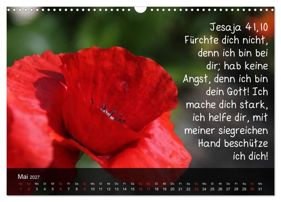 Schöpfung im Licht (CALVENDO Wandkalender 2027)
