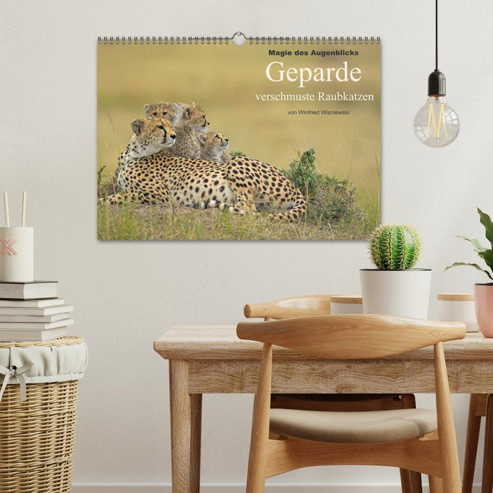 Magie des Augenblicks: Geparde - verschmuste Raubkatzen (CALVENDO Wandkalender 2027)