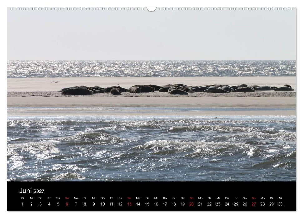 Sylt 2027 (CALVENDO Premium Wandkalender 2027)