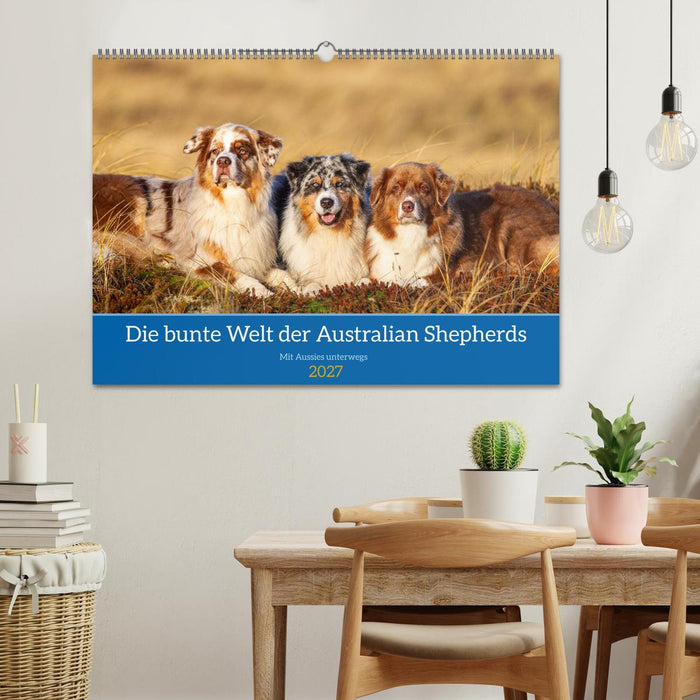 Mit Aussies unterwegs - Die bunte Welt der Australian Shepherds (CALVENDO Wandkalender 2027)