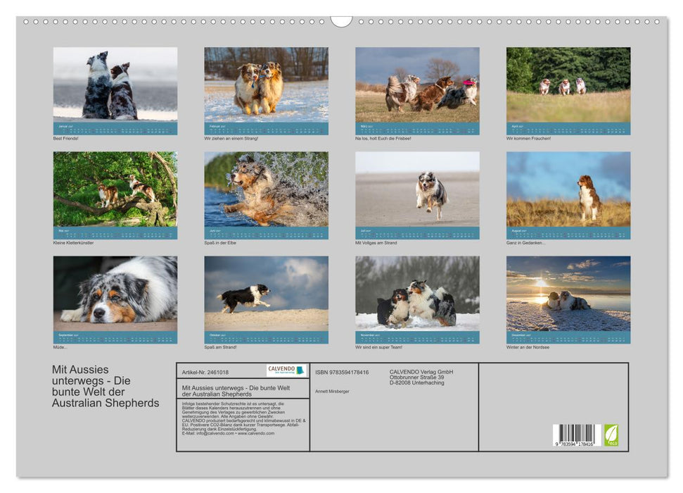 Mit Aussies unterwegs - Die bunte Welt der Australian Shepherds (CALVENDO Wandkalender 2027)