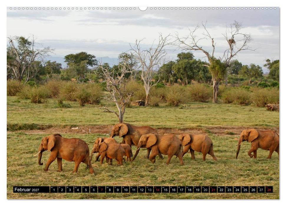 Magie des Augenblicks - Elefanten - Afrikas sanfte Riesen (CALVENDO Wandkalender 2027)