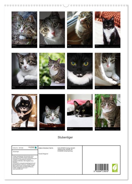 Stubentiger (CALVENDO Premium Wandkalender 2027)